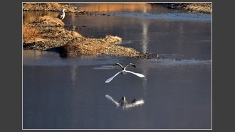 2022-01-10