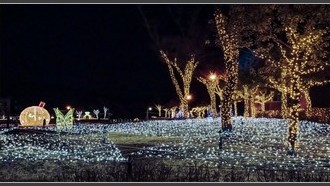 2022-01-12