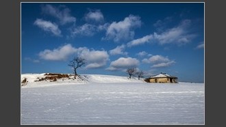 2022-01-12