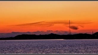 2022-01-18