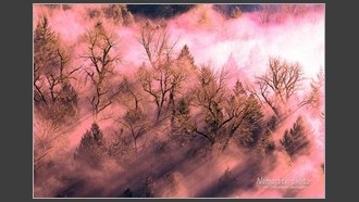 2022-01-29