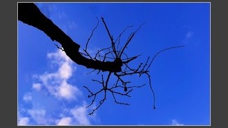 2022-02-06