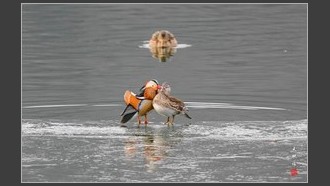 2022-02-08