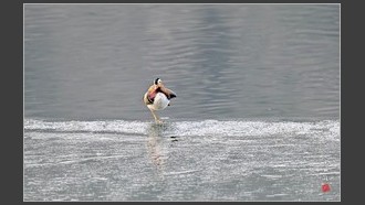 2022-02-08