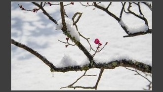 2022-02-08