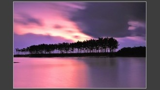 2022-02-09