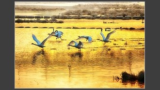 2022-02-12