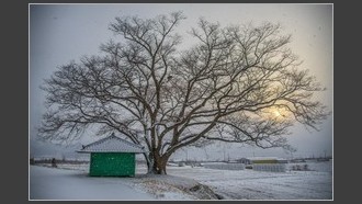 2022-02-12