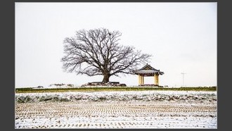 2022-02-13