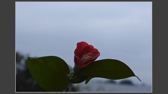 2022-02-13