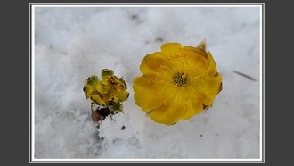 2022-02-17