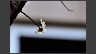 2022-03-01