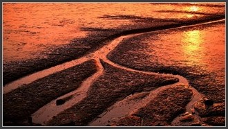 2022-03-03