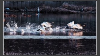 2022-03-05
