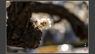 2022-03-07