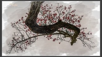 2022-03-07