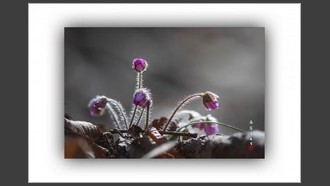 2022-03-08