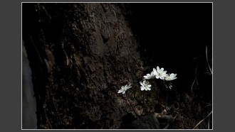 2022-03-08