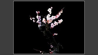 2022-03-08