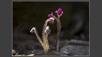 2022-03-09