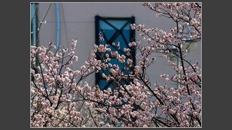 2022-03-10
