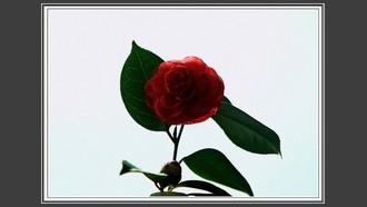 2022-03-12