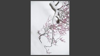 2022-03-12