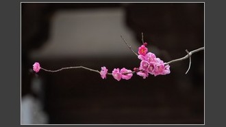 2022-03-13