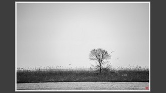 2022-03-19