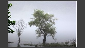 2022-04-03