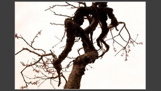 2022-04-07
