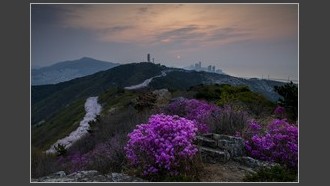 2022-04-07