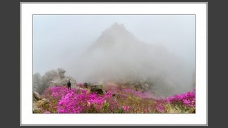 2022-04-07