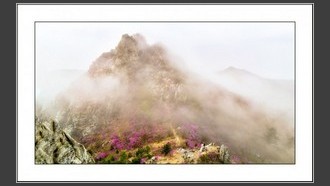 2022-04-09