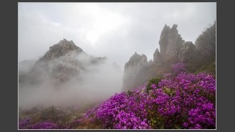 2022-04-12