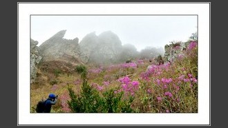 2022-04-12
