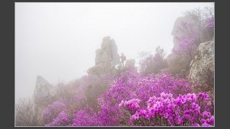 2022-04-17