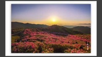 2022-05-08