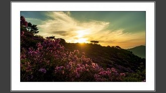 2022-05-09
