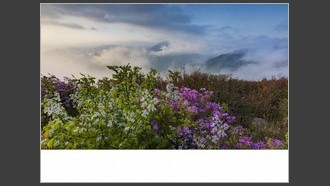 2022-05-09