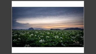 2022-05-10
