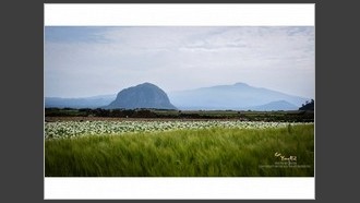 2022-05-11