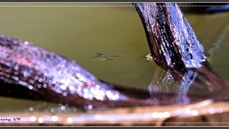 2022-05-25