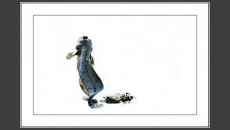 2022-05-28