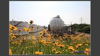 2022-05-29