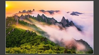2022-06-01