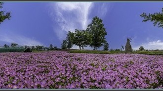 2022-06-02