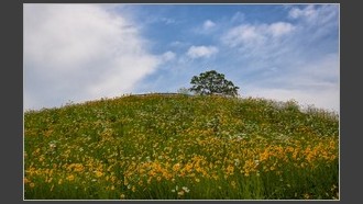 2022-06-05