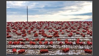 2022-06-06