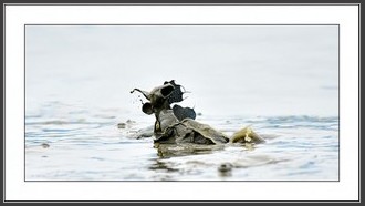 2022-06-06